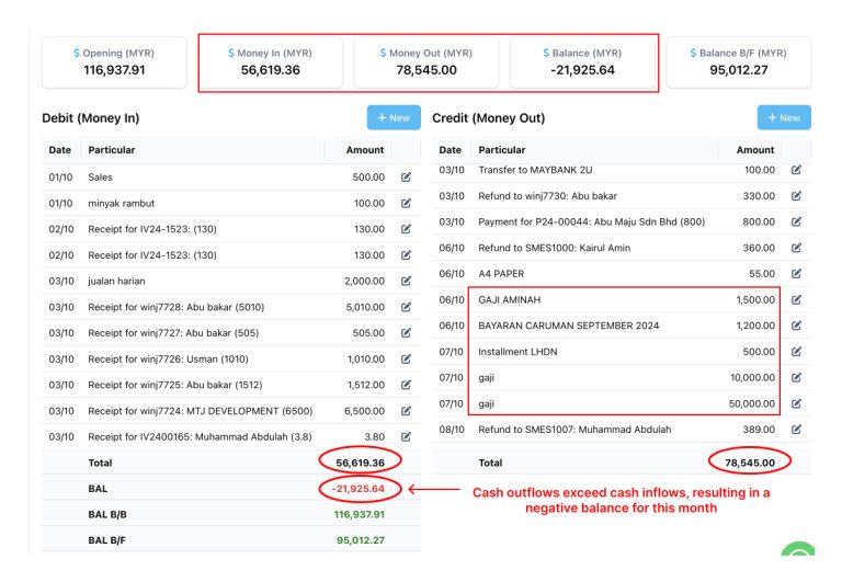 Screenshot of a comprehensive cash flow statement from NiagaPlus for business overview