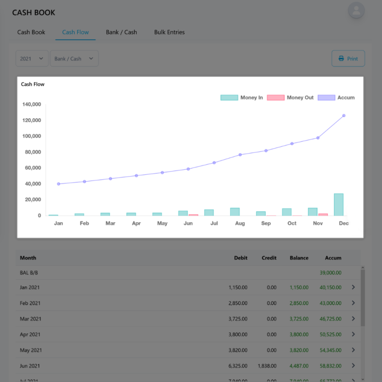 Cash flow statement produced by NiagaPlus accounting software.